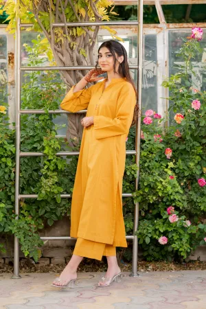 Ravayat By Ariya Apparel Stitched 2 Piece Golden Hour Co-ord Set Collection'2024-Kashan